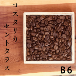 煎りたて焙煎日がわかるコーヒー豆B6costa2