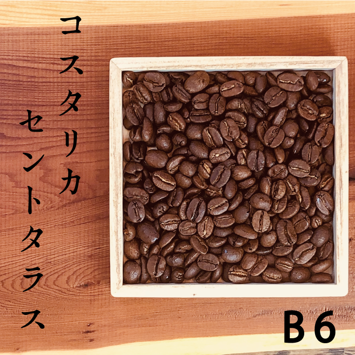煎りたて焙煎日がわかるコーヒー豆B6costa2
